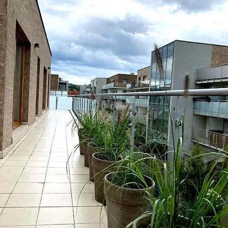 Apartament Luxury